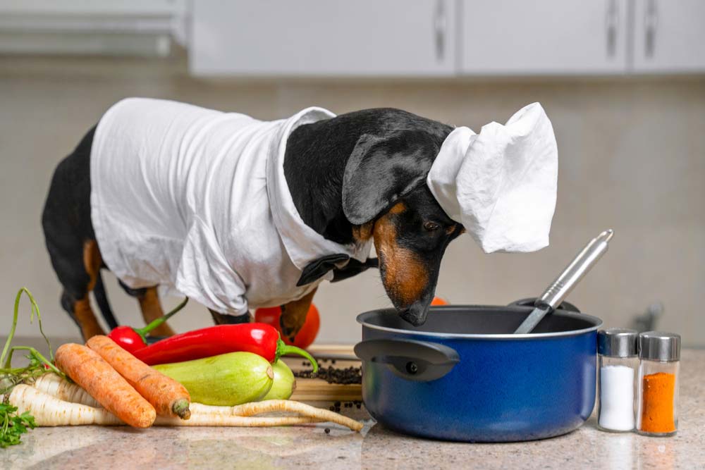 Nutrire i cuccioli