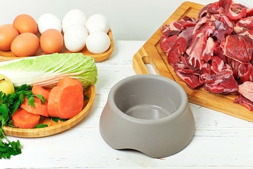 Vantaggi dell'alimentazione naturale del pastore tedesco