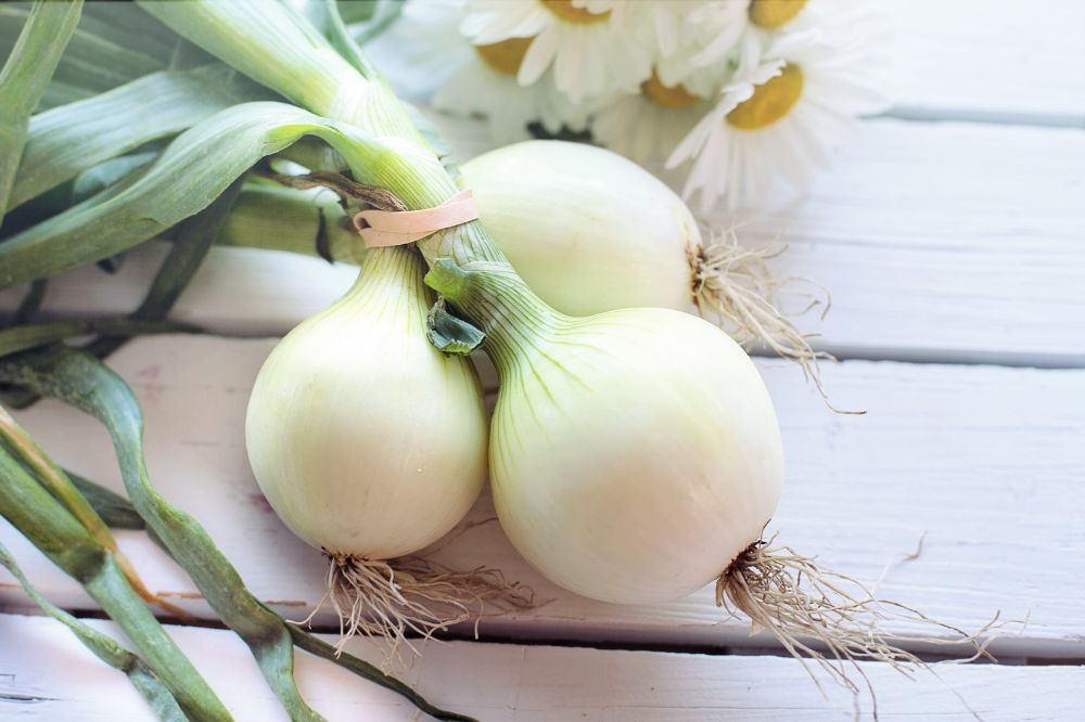 cipolla all'aglio