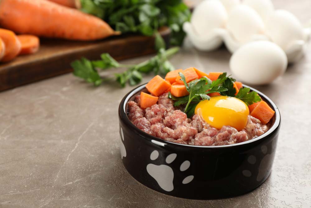 Avantages du chow chow alimentaire naturel