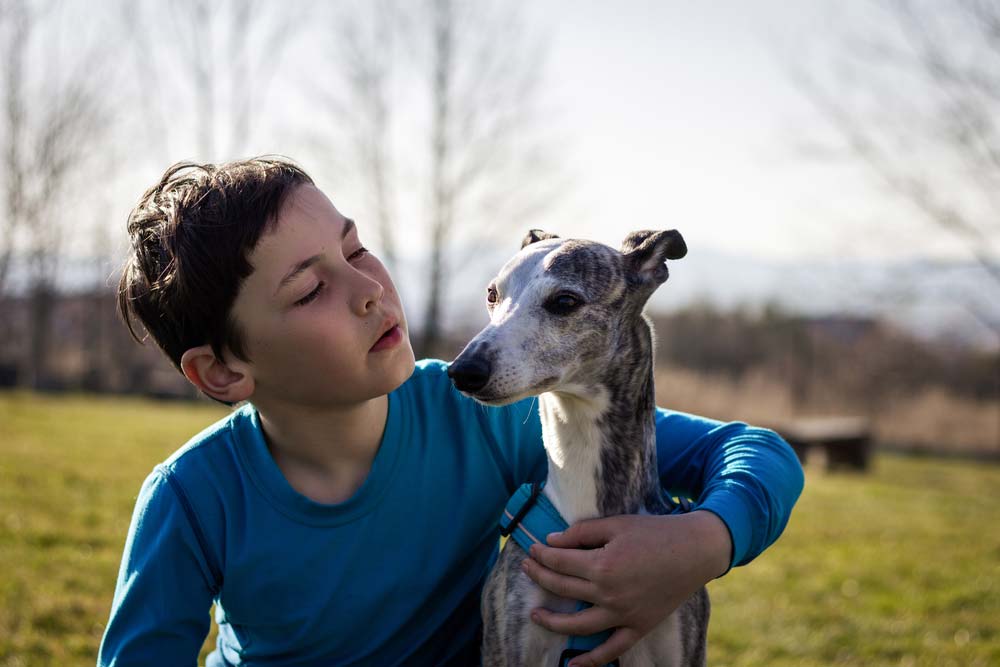 Greyhound espanol