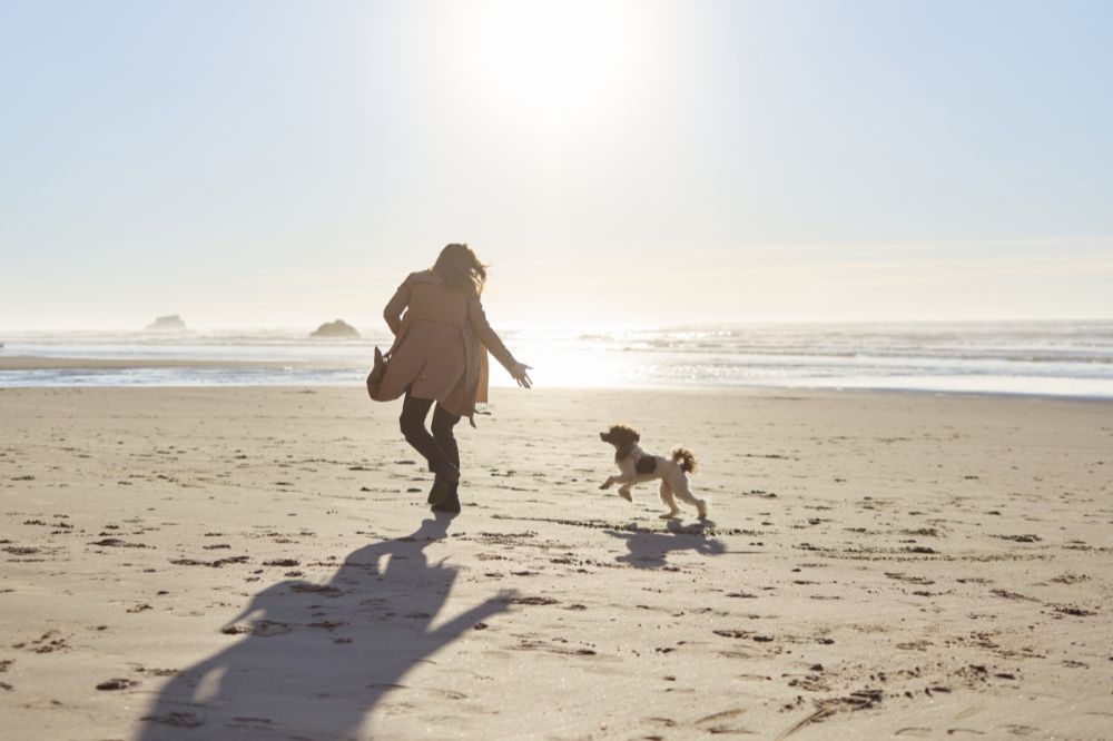 Mejores playas para perros en A Coruna