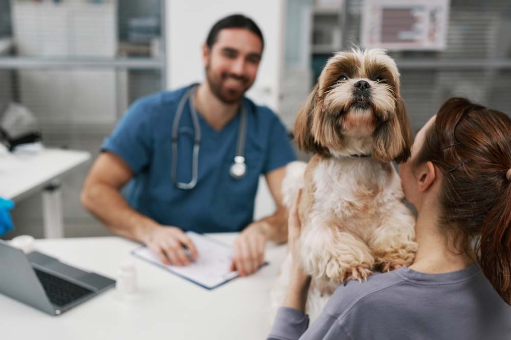 Nutritionniste canin