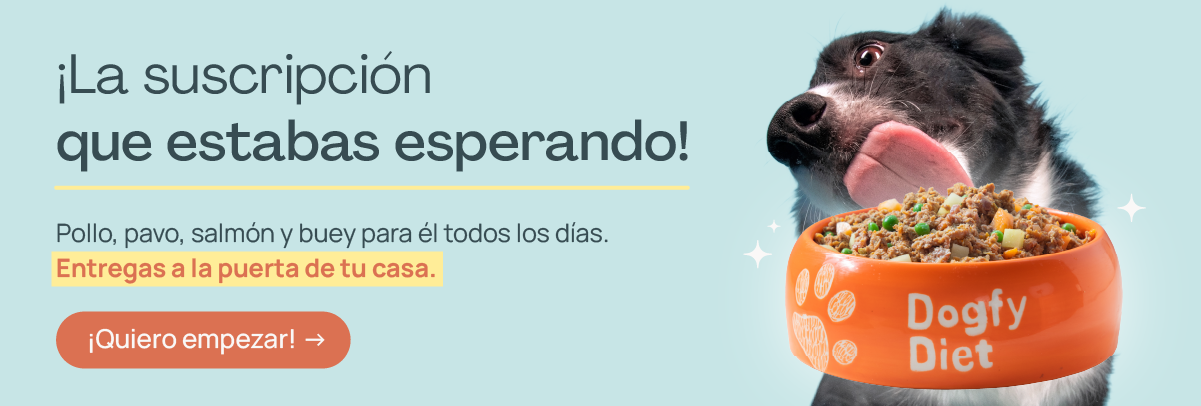 x La suscripción