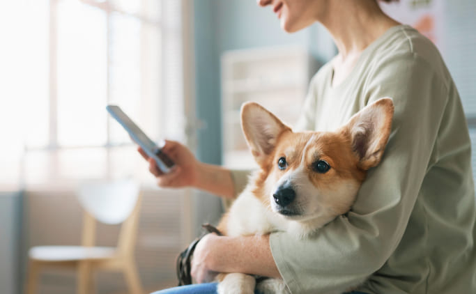 Servizio di nutrizionisti per cani