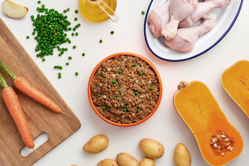 Ciotola di cibo per cani al pollo