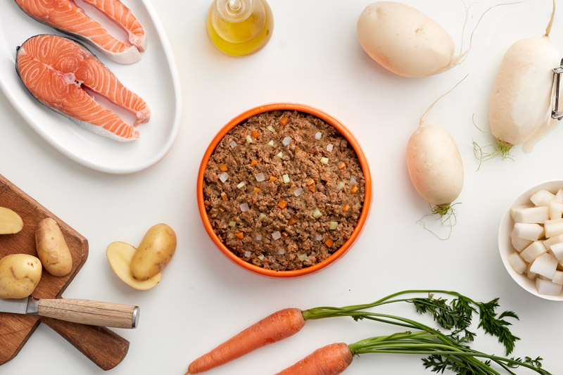 Cibo naturale gusto salmone