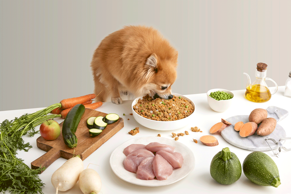 Selezione menu cibo cotto naturale per cani dogfy