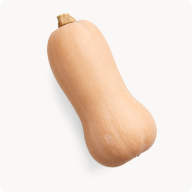 Zucca
